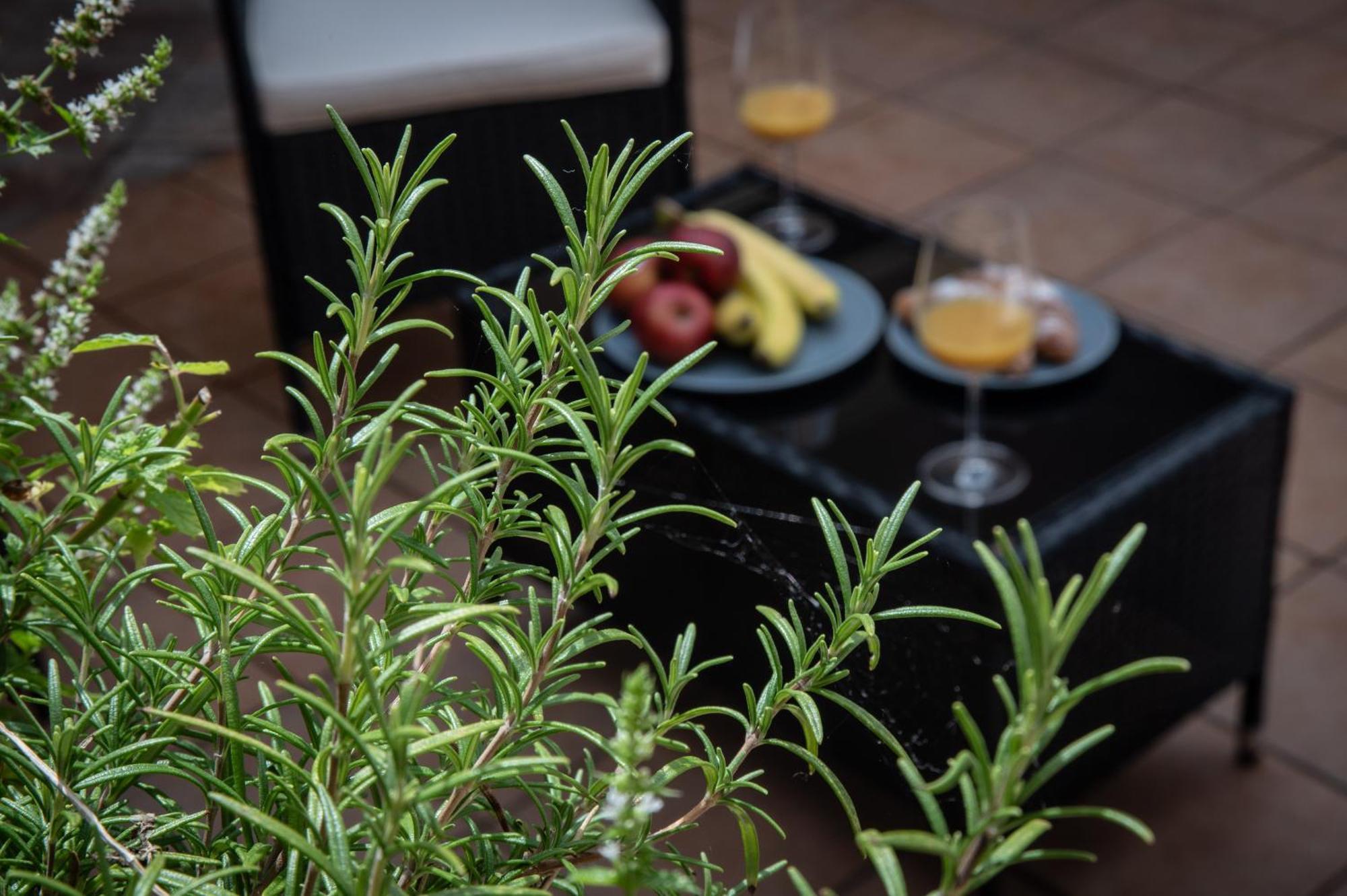 White Swan Boutique Apartments Praha Bagian luar foto